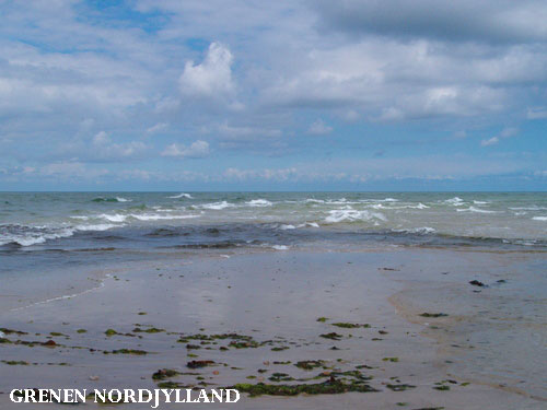 Vacanta in Grenen, Nordjylland, vacante de vis, calatorie, insule si locuri de scufundat, top plaje de vis