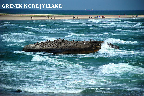 Vacanta in Grenen, Nordjylland, vacante de vis, calatorie, insule si locuri de scufundat, top plaje de vis