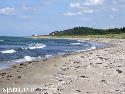 Vacanta in Mon, Sjaelland, vacante de vis, calatorie, insule si locuri de scufundat, top plaje de vis