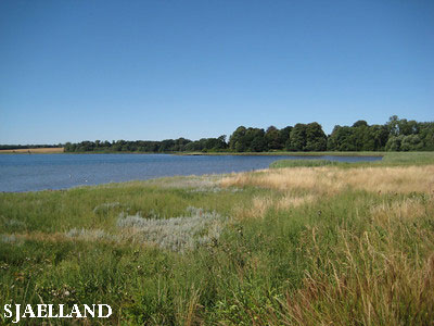 Vacanta in Mon, Sjaelland, vacante de vis, calatorie, insule si locuri de scufundat, top plaje de vis