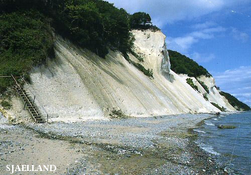 Vacanta in Mon, Sjaelland, vacante de vis, calatorie, insule si locuri de scufundat, top plaje de vis