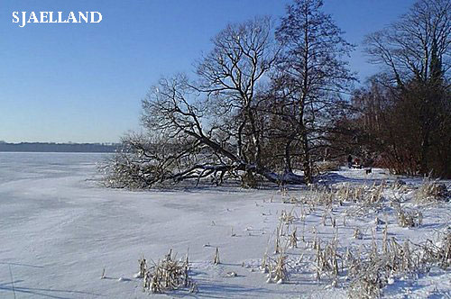 Vacanta in Mon, Sjaelland, vacante de vis, calatorie, insule si locuri de scufundat, top plaje de vis