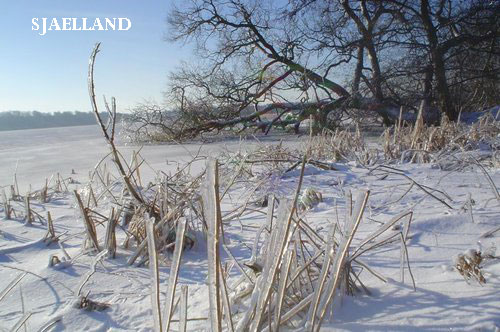 Vacanta in Mon, Sjaelland, vacante de vis, calatorie, insule si locuri de scufundat, top plaje de vis