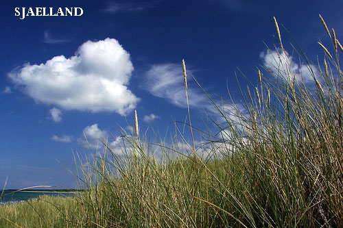 Vacanta in Mon, Sjaelland, vacante de vis, calatorie, insule si locuri de scufundat, top plaje de vis