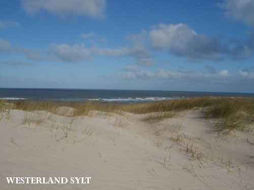 Vacanta in Westerland, Sylt, vacante de vis, calatorie, insule si locuri de scufundat, top plaje de vis