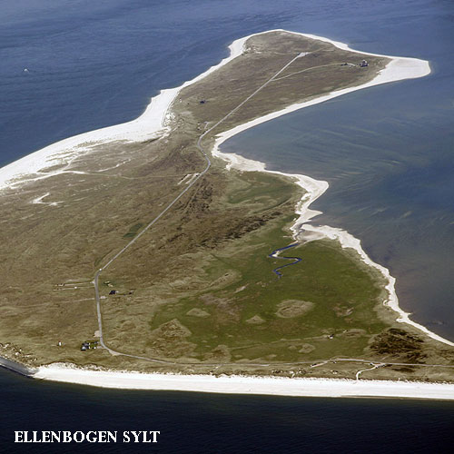 Vacanta in Ellenbogen, Sylt, vacante de vis, calatorie, insule si locuri de scufundat, top plaje de vis