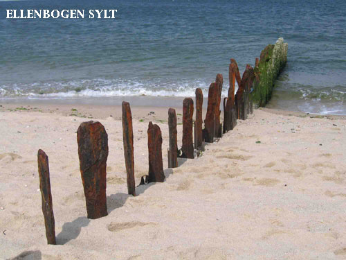 Vacanta in Ellenbogen, Sylt, vacante de vis, calatorie, insule si locuri de scufundat, top plaje de vis