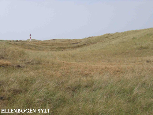 Vacanta in Ellenbogen, Sylt, vacante de vis, calatorie, insule si locuri de scufundat, top plaje de vis