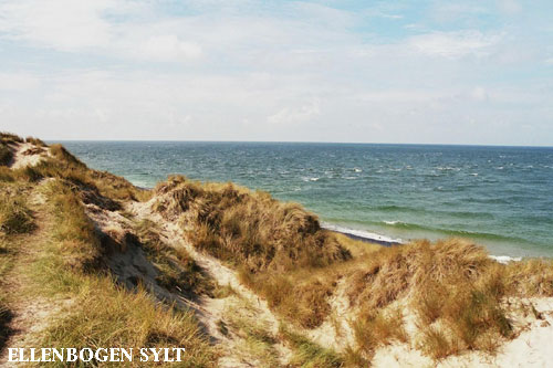 Vacanta in Ellenbogen, Sylt, vacante de vis, calatorie, insule si locuri de scufundat, top plaje de vis