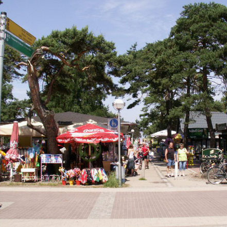 Vacanta in Dierhagen. Mecklenburg-Vorpommern, vacante de vis, calatorie, insule si locuri de scufundat, top plaje de vis