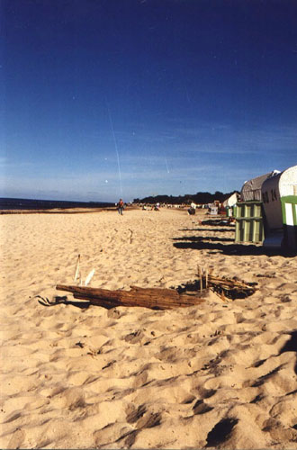 Vacanta in Kuhlungsborn, Mecklenburg-Vorpommern, vacante de vis, calatorie, insule si locuri de scufundat, top plaje de vis