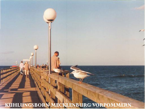 Vacanta in Kuhlungsborn, Mecklenburg-Vorpommern, vacante de vis, calatorie, insule si locuri de scufundat, top plaje de vis