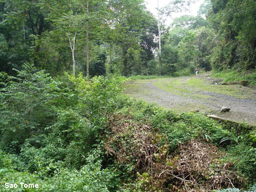 Vacanta in Sao Tome, vacante de vis, calatorie, insule si locuri de scufundat, top plaje de vis