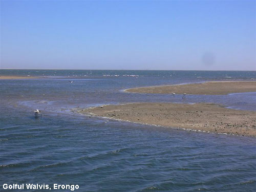 Vacanta in Golful Walvis, Erongo, vacante de vis, calatorie, insule si locuri de scufundat, top plaje de vis