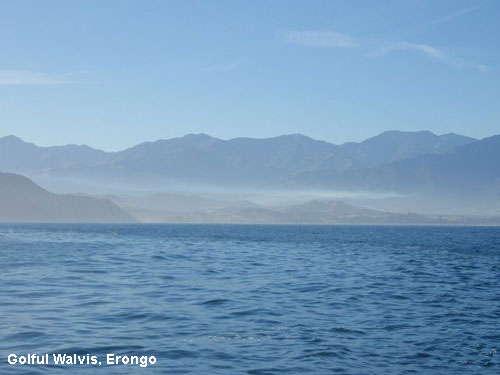 Vacanta in Golful Walvis, Erongo, vacante de vis, calatorie, insule si locuri de scufundat, top plaje de vis