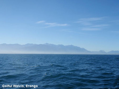 Vacanta in Golful Walvis, Erongo, vacante de vis, calatorie, insule si locuri de scufundat, top plaje de vis