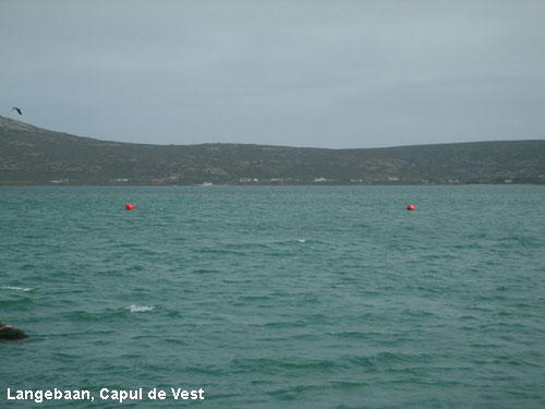 Vacanta in Langebaan, Capul de Vest, vacante de vis, calatorie, insule si locuri de scufundat, top plaje de vis