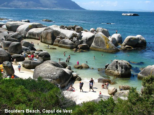 Vacanta in Boulders Beach, Capul de Vest, vacante de vis, calatorie, insule si locuri de scufundat, top plaje de vis