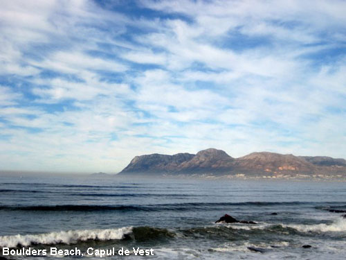 Vacanta in Boulders Beach, Capul de Vest, vacante de vis, calatorie, insule si locuri de scufundat, top plaje de vis