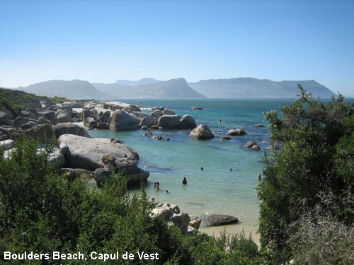 Vacanta in Boulders Beach, Capul de Vest, vacante de vis, calatorie, insule si locuri de scufundat, top plaje de vis