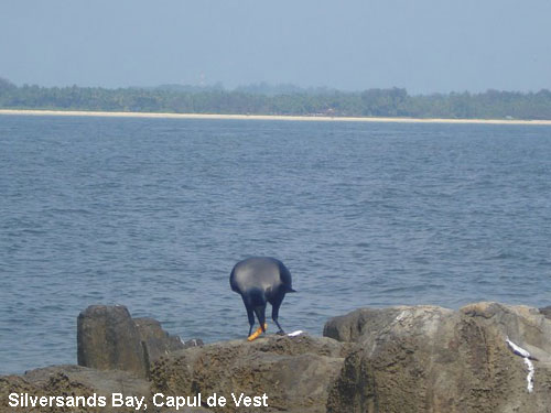 Vacanta in Silversands Bay, Capul de Vest, vacante de vis, calatorie, insule si locuri de scufundat, top plaje de vis
