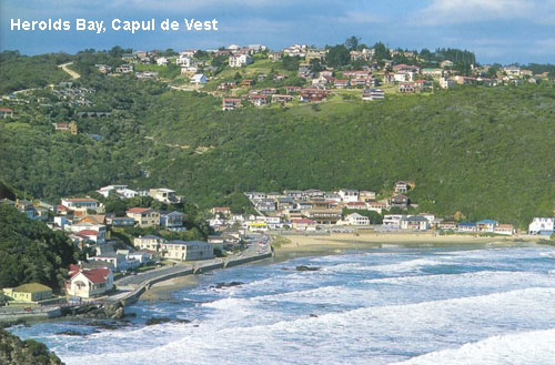 Vacanta in Herolds Bay, Capul de Vest, vacante de vis, calatorie, insule si locuri de scufundat, top plaje de vis