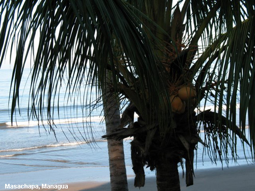 Vacanta in Masachapa, Managua, vacante de vis, calatorie, insule si locuri de scufundat, top plaje de vis