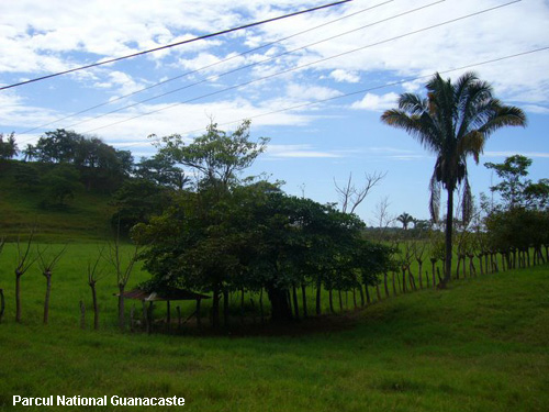 Vacanta in Parcul National Guanacaste, vacante de vis, calatorie, insule si locuri de scufundat, top plaje de vis
