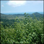 Vacanta in Parcul National Ostional, Guanacaste, vacante de vis, calatorie, insule si locuri de scufundat, top plaje de vis
