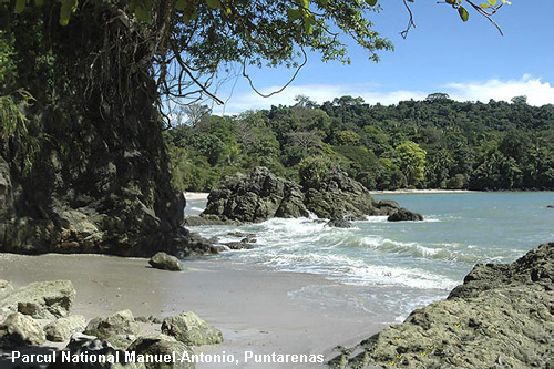 Vacanta in Parcul National Manuel-Antonio, Puntarenas, vacante de vis, calatorie, insule si locuri de scufundat, top plaje de vis