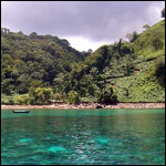Vacanta in Chatham, Isla del Coco, vacante de vis, calatorie, insule si locuri de scufundat, top plaje de vis