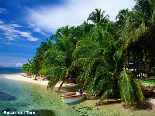 Vacanta in Bocas del Toro, vacante de vis, calatorie, insule si locuri de scufundat, top plaje de vis