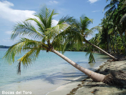 Vacanta in Bocas del Toro, vacante de vis, calatorie, insule si locuri de scufundat, top plaje de vis