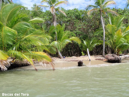 Vacanta in Bocas del Toro, vacante de vis, calatorie, insule si locuri de scufundat, top plaje de vis