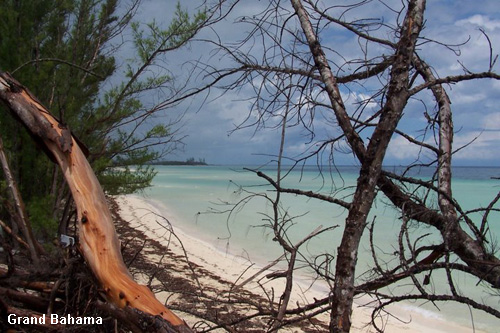 Vacanta in Grand Bahama, vacante de vis, calatorie, insule si locuri de scufundat, top plaje de vis