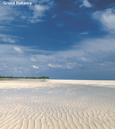 Vacanta in Grand Bahama, vacante de vis, calatorie, insule si locuri de scufundat, top plaje de vis