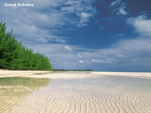 Vacanta in Grand Bahama, vacante de vis, calatorie, insule si locuri de scufundat, top plaje de vis