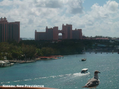 Vacanta in Nassau, New Providence, vacante de vis, calatorie, insule si locuri de scufundat, top plaje de vis