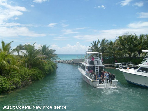 Vacanta in Stuart Cove's, New Providence, vacante de vis, calatorie, insule si locuri de scufundat, top plaje de vis