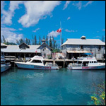 Vacanta in Stuart Cove's, New Providence, vacante de vis, calatorie, insule si locuri de scufundat, top plaje de vis