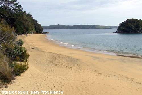 Vacanta in Stuart Cove's, New Providence, vacante de vis, calatorie, insule si locuri de scufundat, top plaje de vis