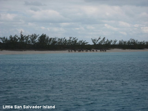 Vacanta in Little San Salvador Island, vacante de vis, calatorie, insule si locuri de scufundat, top plaje de vis