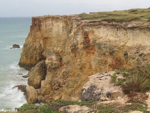 Vacanta in Aguadilla, vacante de vis, calatorie, insule si locuri de scufundat, top plaje de vis