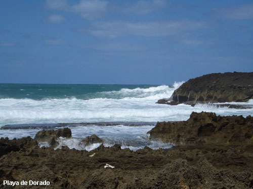 Vacanta in Playa de Dorado, vacante de vis, calatorie, insule si locuri de scufundat, top plaje de vis