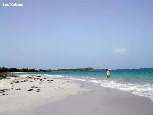 Vacanta in Les Salines, vacante de vis, calatorie, insule si locuri de scufundat, top plaje de vis