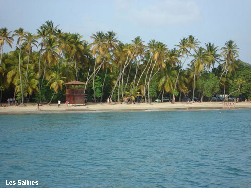 Vacanta in Les Salines, vacante de vis, calatorie, insule si locuri de scufundat, top plaje de vis