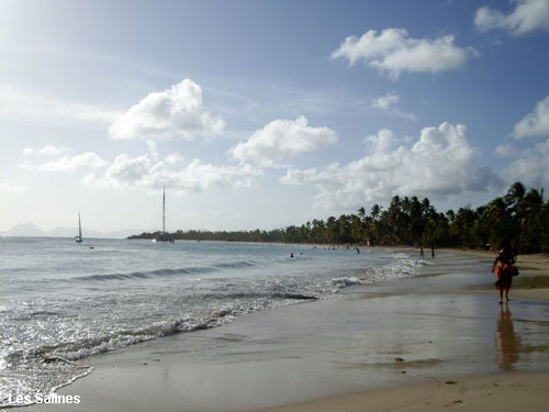 Vacanta in Les Salines, vacante de vis, calatorie, insule si locuri de scufundat, top plaje de vis
