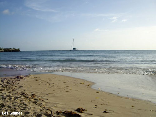 Vacanta in Les Salines, vacante de vis, calatorie, insule si locuri de scufundat, top plaje de vis
