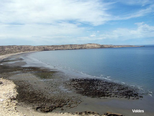 Vacanta in Valdes, vacante de vis, calatorie, insule si locuri de scufundat, top plaje de vis