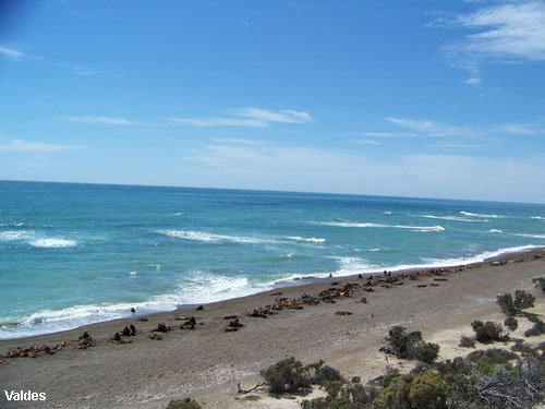 Vacanta in Valdes, vacante de vis, calatorie, insule si locuri de scufundat, top plaje de vis